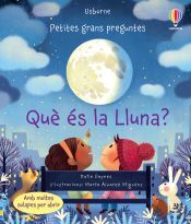 USBORNE Que Es La Lluna