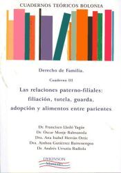 Editorial Dykinson, S.L. Cuadernos Teóricos Bolonia. Derecho De Familia. Cuaderno Ii. Patrimonio Conyugal. Los Regímenes Económicos Y Otros