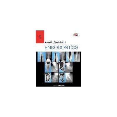 Grupo Asís Endodontics Grupo Asís Endodontics