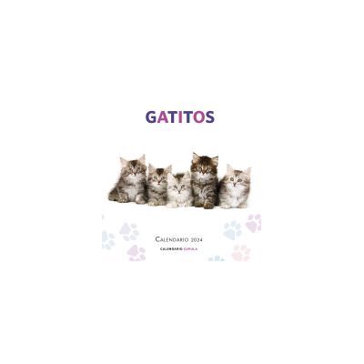 Libros Cúpula Calendario Gatitos 2024 Libros Cúpula Calendario Gatitos 2024