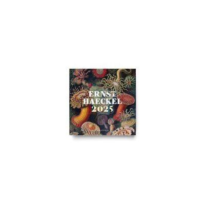 Ediciones Granica S.A. Ernst Haeckel 2025, Calendario De Pared Ediciones Granica S.A. Ernst Haeckel 2025, Calendario De Pared