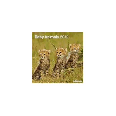 teNeues Calendario 2012. Baby Animals. teNeues Calendario 2012. Baby Animals.