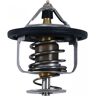 Thermostat ALL BALLS /19021707/