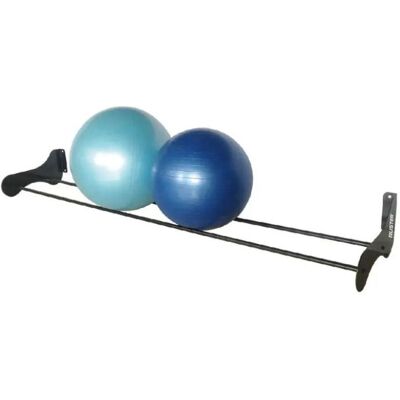Ruster Rack Gymball Ruster Rack Gymball
