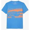 Camiseta Lacoste Novak Djokovic Azul -  -XL