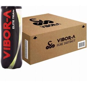 Cajon 72 Pelotas - 24 Botes de 3 uds - Vibora Elite Team