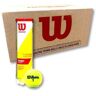 Cajon 72 Pelotas - 18 Botes de 4 Uds - Wilson Championship Extra Duty