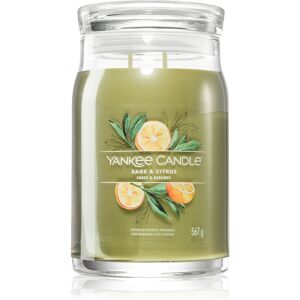 Sage & Citrus Vela Perfumada Signature 567 G Sage & Citrus Vela Perfumada Signature 567 G