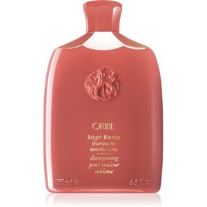 Bright Blonde Champú Violeta Neutralizante Para Tonos Amarillos 250 Ml Bright Blonde Champú Violeta Neutralizante Para Tonos Amarillos 250 Ml