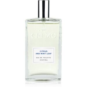 Spray Cologne Citrus & Mint Leaf Eau De Toilette Para Hombre 100 Ml Spray Cologne Citrus & Mint Leaf Eau De Toilette Para Hombre 100 Ml