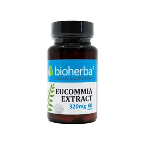 Bioherba Eucommia extracto 320 mg, 60 cápsulas