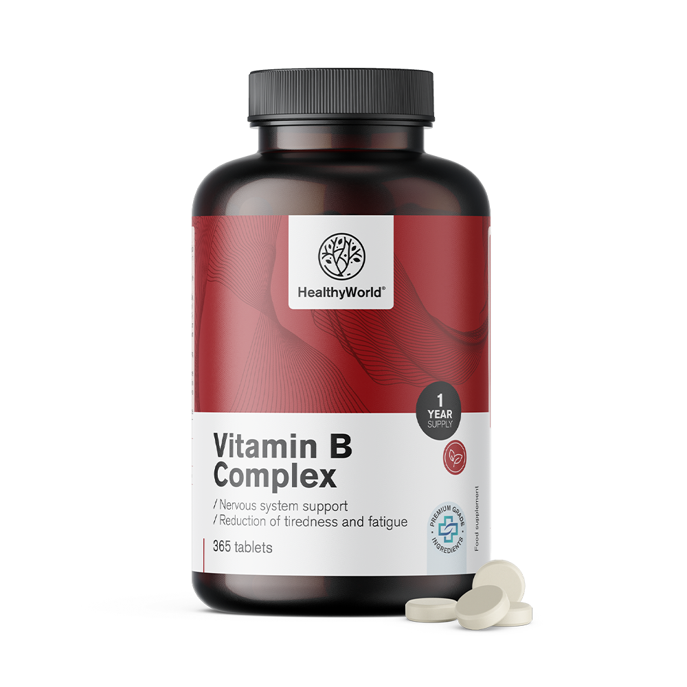 HealthyWorld® Complejo de vitamina B, 365 comprimidos
