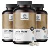 HealthyWorld® 3x Hericium Erinaceus (melena de león) - hongo, en total 540 cápsulas