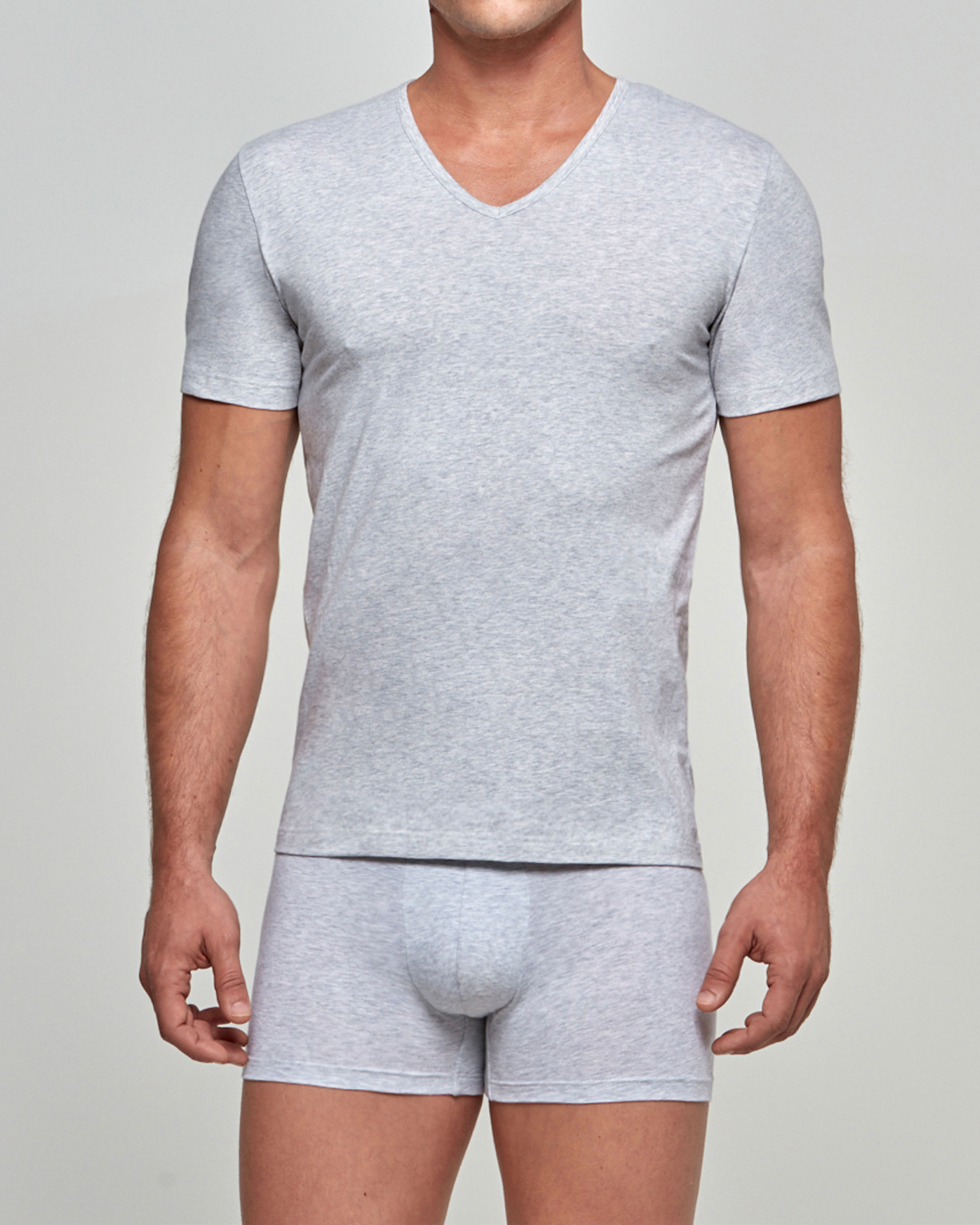 IMPETUS T-shirt de hombre Bio Cotton Gris (L)