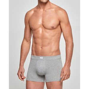 IMPETUS Boxer de punto de hombre Cotton Stretch Gris (L)