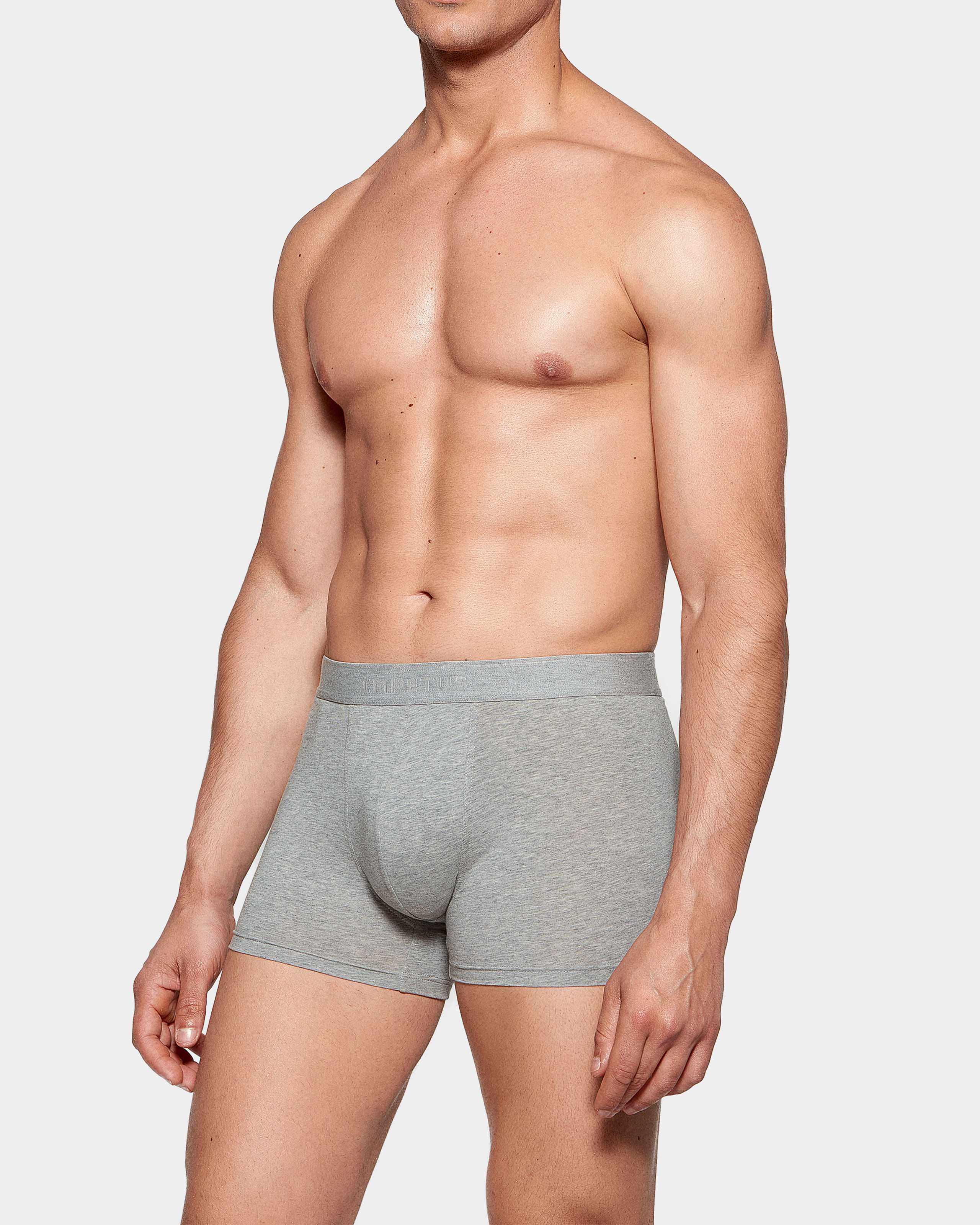 IMPETUS Boxer de hombre Executive Gris (L)