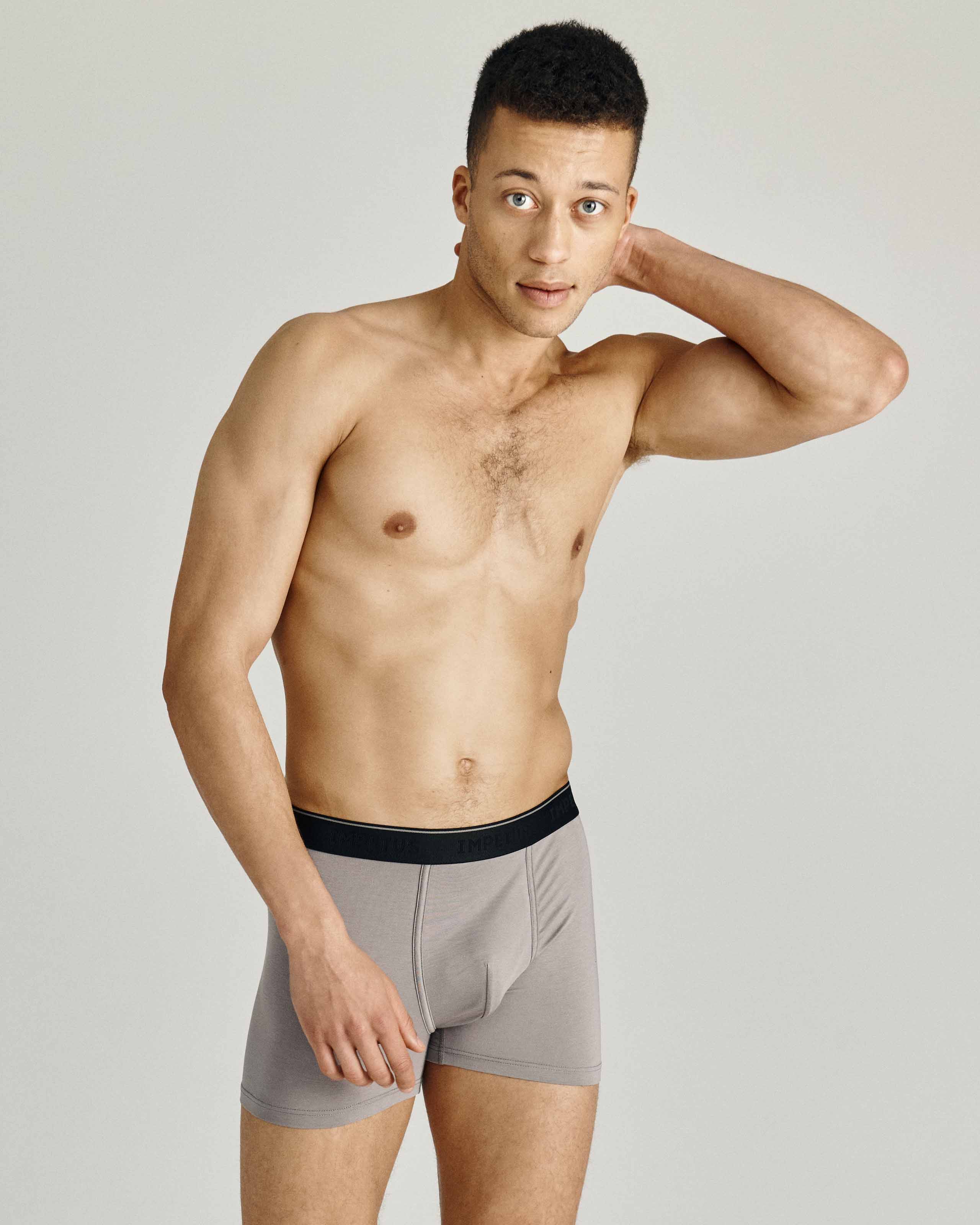 IMPETUS Boxer de hombre Soft Premium Gris (L)