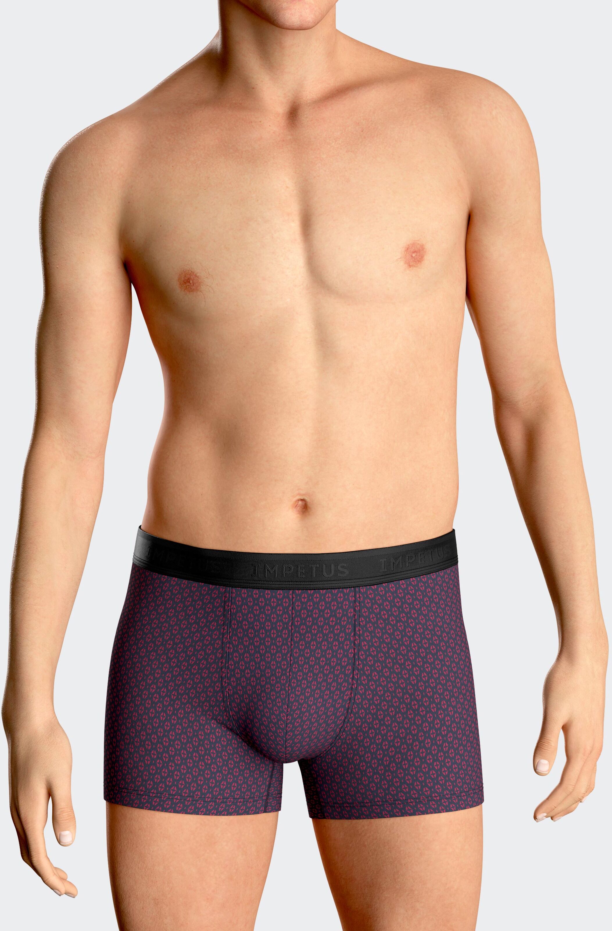 IMPETUS Boxer de hombre en Modal GRIS (L)