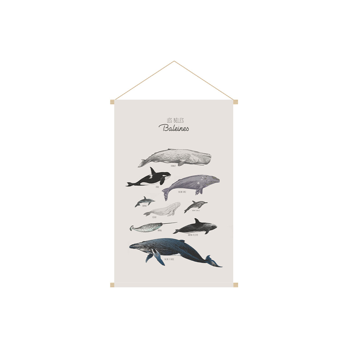 Miliboo Kakemono infantil con ilustración de ballenas 40 x 60 cm OCEAN