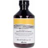 Davines Naturaltech nourishing shampoo 250 ml