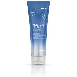 Joico Acondicionador Moisture Recovery 250 ml Joico Acondicionador Moisture Recovery 250 ml