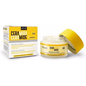 Diet Esthetic Vit Vit Crema Restauradora de Ceramida - Crema facial para todo tipo de piel Diet Esthetic Vit Vit Crema Restauradora de Ceramida - Crema facial para todo tipo de piel