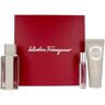 Salvatore Ferragamo Bright Leather lote 3 pz