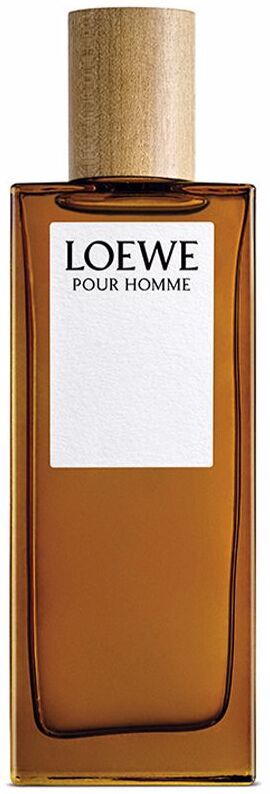 Loewe Pour Homme eau de toilette vaporizador 50 ml