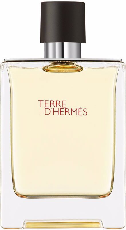 Terre D’HERMÈS eau de toilette vaporizador 100 ml