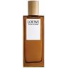 Loewe Pour Homme eau de toilette vaporizador 100 ml