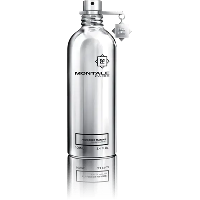 Montale Fougeres Marine - Perfume Unisex Acuático Aromático 100ml Montale Fougeres Marine - Perfume Unisex Acuático Aromático 100ml
