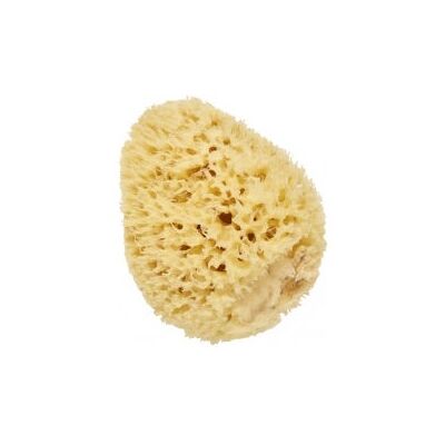 Esponja Natural de Mar Pequeña de Cartel - Herramienta de Baño Esponja Natural de Mar Pequeña de Cartel - Herramienta de Baño