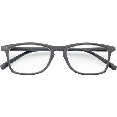 Nesira Acofarma Gafas de Presbicia +1.5 Gris 1ud Nesira Acofarma Gafas de Presbicia +1.5 Gris 1ud