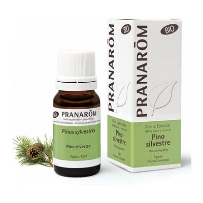 Pranarôm Aceite Esencial de Pino Silvestre BIO 10 ml Pranarôm Aceite Esencial de Pino Silvestre BIO 10 ml