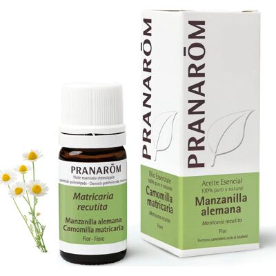 Pranarôm Aceite Esencial de Manzanilla Alemana 5ml Pranarôm Aceite Esencial de Manzanilla Alemana 5ml