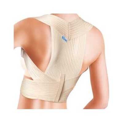 Prim Espaldillera Confort 335 S 1 ud Prim Espaldillera Confort 335 S 1 ud