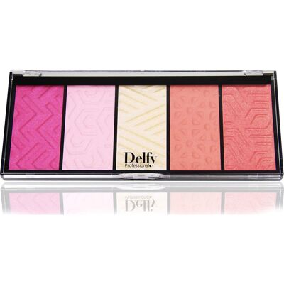 Delfy Blush Collection Palette 28 g Delfy Blush Collection Palette 28 g