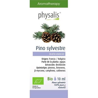 Aceite de Pino Silvestre Physalis - 10ml - Respiración y Circulación Aceite de Pino Silvestre Physalis - 10ml - Respiración y Circulación