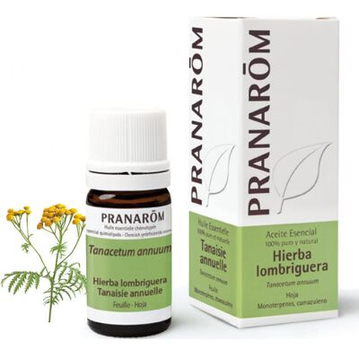Pranarôm Aceite Esencial de Hierba Lombriguera 5 ml Pranarôm Aceite Esencial de Hierba Lombriguera 5 ml