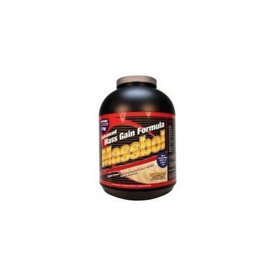 WORLD GYM Massbol chocolate 1,2kg WORLD GYM Massbol chocolate 1,2kg