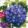 Ladybird Kit Punto de Cruz  Hortensia