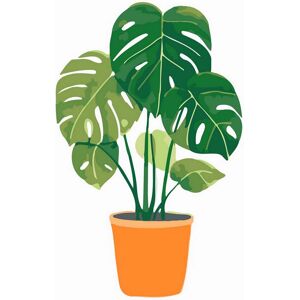 Figured’Art Mini Figured'Art Monstera