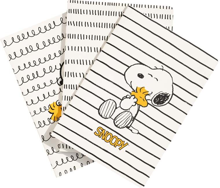 Erik Set 3 Libretas A5 Snoopy Lazy Days