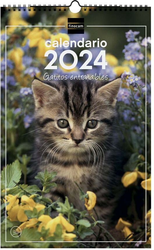 Finocam Calendario pared  Esp 25X40 2024 Gatitos cas