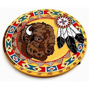 Liontouc Disfraz Indio con escudo