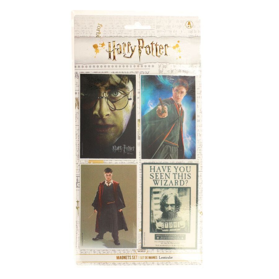 SD Toys Imanes Set 4 Harry Potter