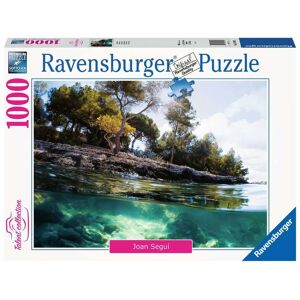 Ravensburger Puzle 1000 piezas Puntos de vista