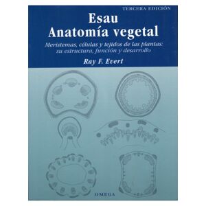 Esau Anatomía vegetal