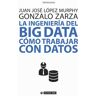 Ingeniería del Big Data, La