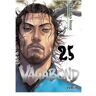 Vagabond 25